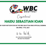 17.04.2021 - Primul Seminar pentru viitori arbitri de Muay Thai la care a participat Haidu Sebastian