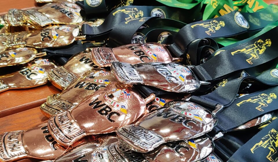 19.11.2023 - Copmetiție de Muay Thai Amatori la Satu Mare